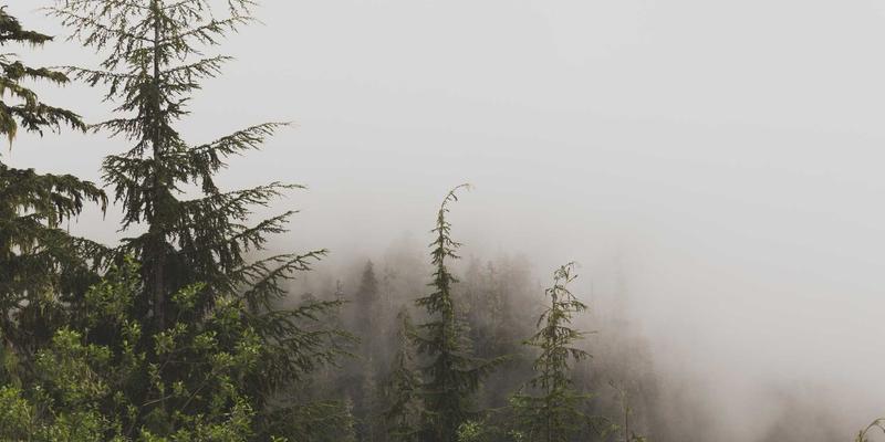 城市更新进程中历史建筑保护与商业开发的平衡之道：房地产与物业服务的双重智慧