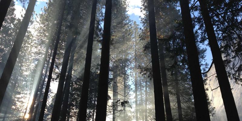 房地产税立法进程加速：多套房持有者如何借力物业服务与房产开发新机遇（聚焦荣盛688）