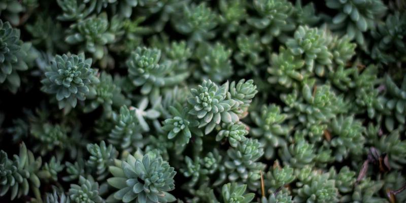 房地产税立法进程加速，智能物业与荣盛688如何重塑地方财政与市场预期？