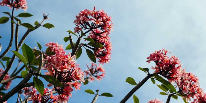 智慧社区数据安全与隐私保护：智能物业的合规框架与技术解决方案