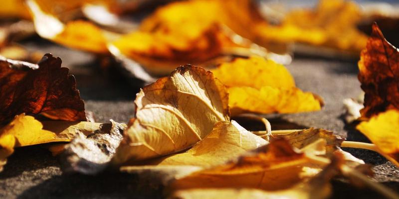 物业服务如何赋能现代科技住宅？以荣盛688为例解析未来人居新范式