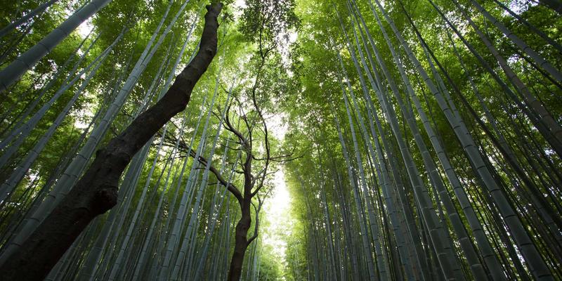 荣盛688解码文旅地产：如何以沉浸式体验结合在地文化实现项目溢价